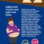 estetik-ile-ilgili-googleda-en-cok-arananlar